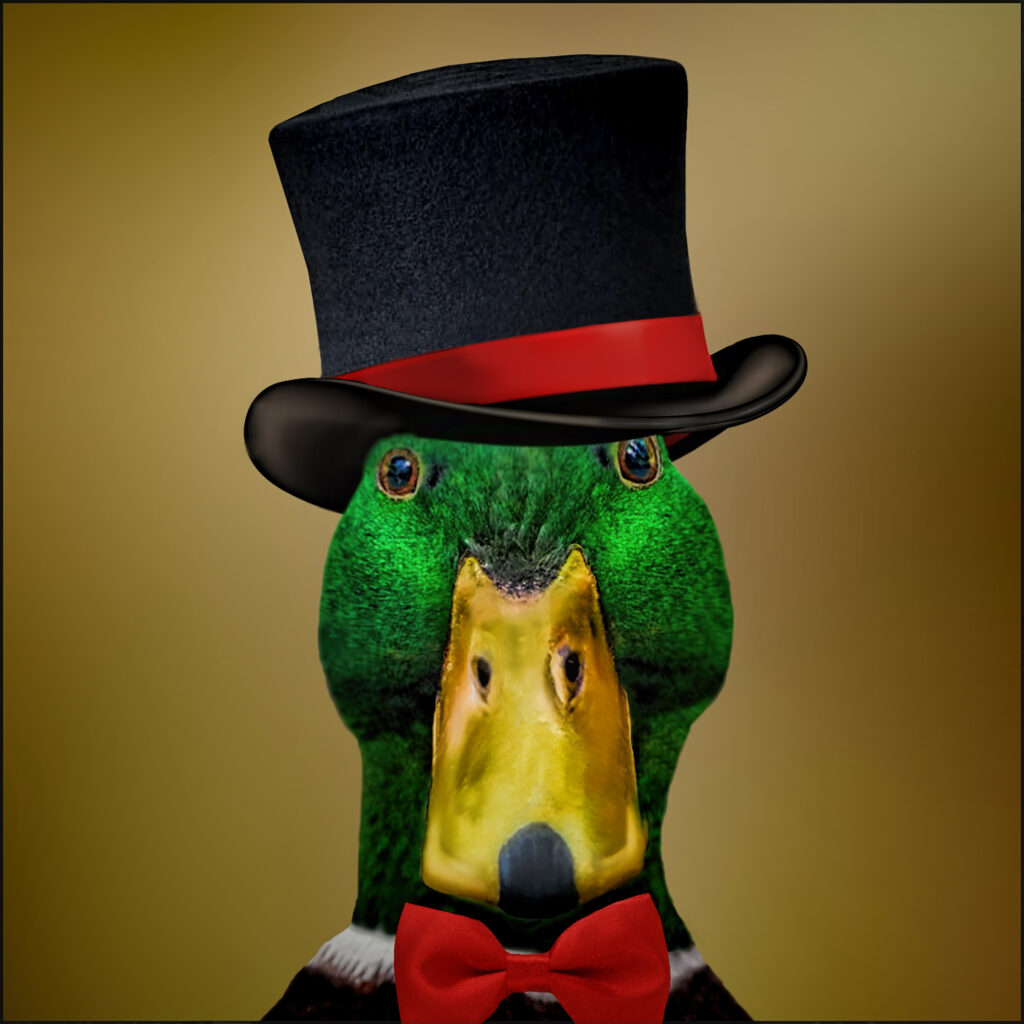 JustUsBirds Mallard Duck Top Hat